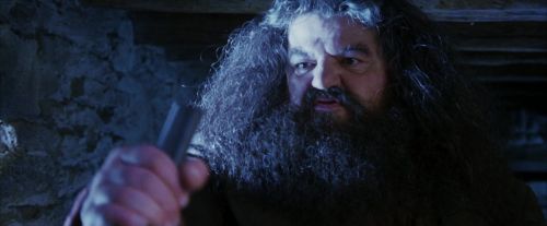 PF-Potterish_01171.jpg