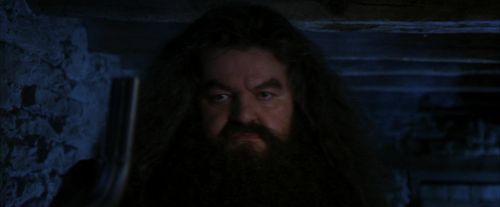 PF-Potterish_01175.jpg