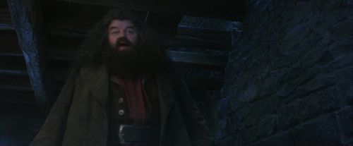 PF-Potterish_01182.jpg