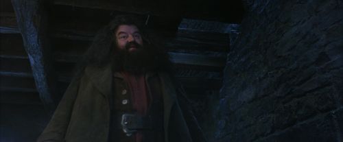Click to view full size image
==============
PF-Potterish_01183.jpg PF-Potterish_01183.jpg