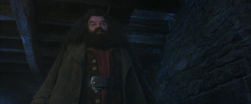 PF-Potterish_01184.jpg