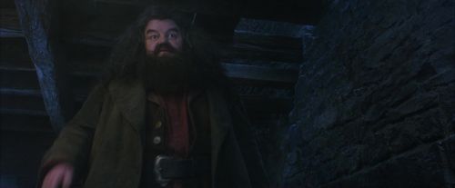 PF-Potterish_01187.jpg