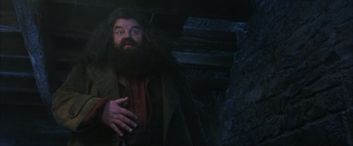 Click to view full size image
==============
PF-Potterish_01188.jpg PF-Potterish_01188.jpg