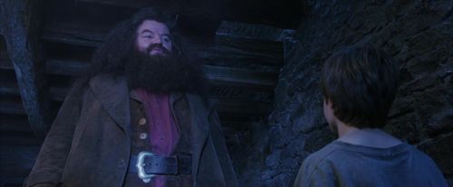 PF-Potterish_01202.jpg