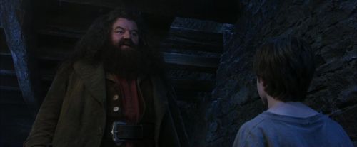 PF-Potterish_01203.jpg