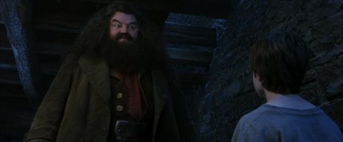 PF-Potterish_01209.jpg