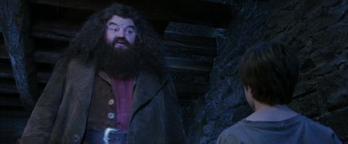 Click to view full size image
==============
PF-Potterish_01234.jpg PF-Potterish_01234.jpg