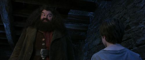 PF-Potterish_01235.jpg