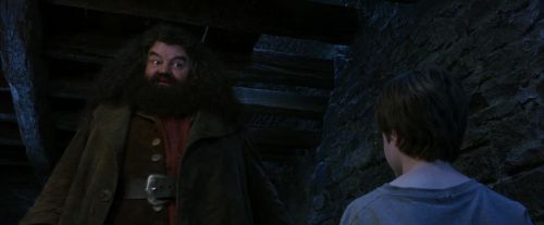 PF-Potterish_01236.jpg
