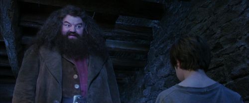 Click to view full size image
==============
PF-Potterish_01237.jpg PF-Potterish_01237.jpg