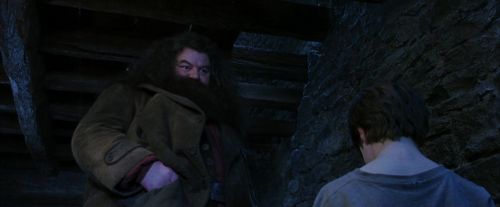 PF-Potterish_01238.jpg