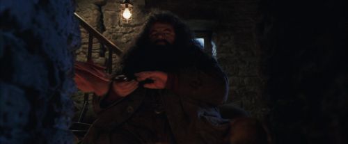 Click to view full size image
==============
PF-Potterish_01245.jpg PF-Potterish_01245.jpg