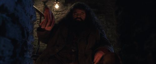 PF-Potterish_01246.jpg