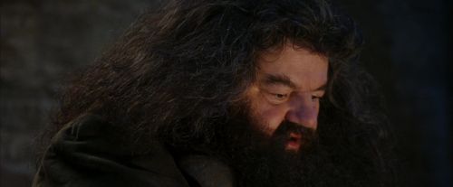 PF-Potterish_01269.jpg