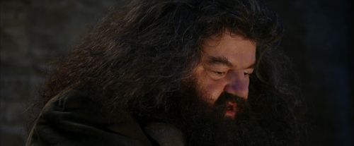 PF-Potterish_01270.jpg