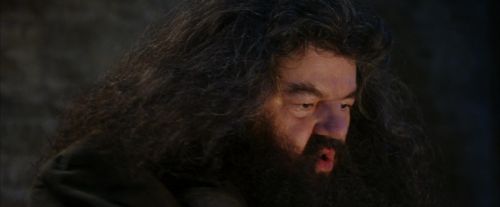 PF-Potterish_01272.jpg