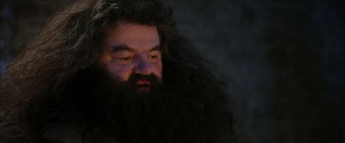 PF-Potterish_01273.jpg