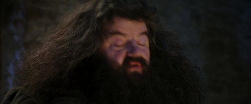 PF-Potterish_01274.jpg