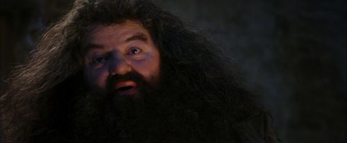 PF-Potterish_01275.jpg
