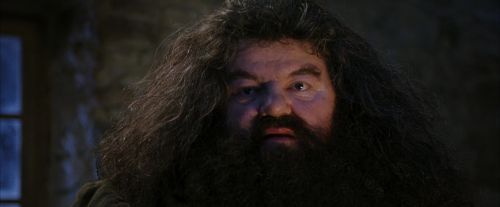 PF-Potterish_01280.jpg