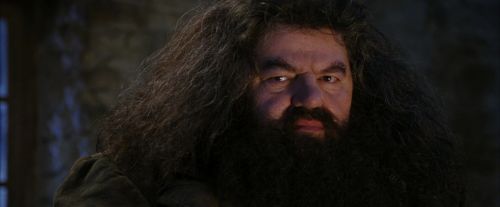 PF-Potterish_01282.jpg