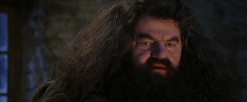 Click to view full size image
==============
PF-Potterish_01283.jpg PF-Potterish_01283.jpg