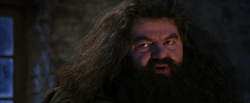 Click to view full size image
==============
PF-Potterish_01285.jpg PF-Potterish_01285.jpg