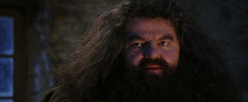 PF-Potterish_01286.jpg