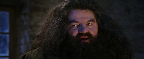 PF-Potterish_01289.jpg
