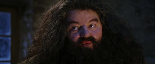 PF-Potterish_01290.jpg