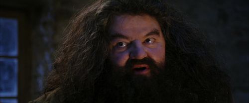 PF-Potterish_01291.jpg