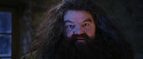 Click to view full size image
==============
PF-Potterish_01298.jpg PF-Potterish_01298.jpg