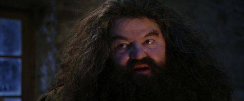 PF-Potterish_01299.jpg