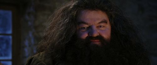 Click to view full size image
==============
PF-Potterish_01313.jpg PF-Potterish_01313.jpg