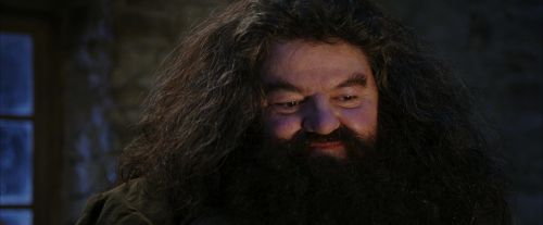 Click to view full size image
==============
PF-Potterish_01314.jpg PF-Potterish_01314.jpg