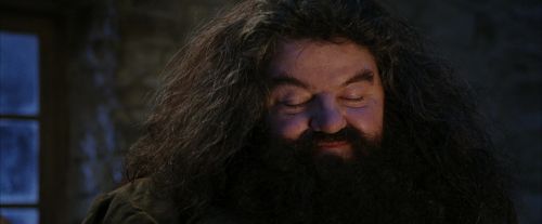 PF-Potterish_01315.jpg
