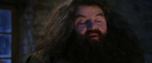 Click to view full size image
==============
PF-Potterish_01321.jpg PF-Potterish_01321.jpg