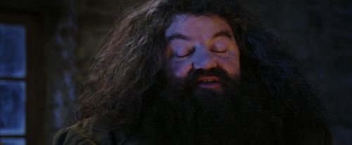PF-Potterish_01322.jpg