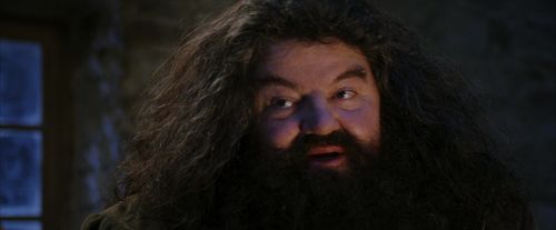 PF-Potterish_01323.jpg