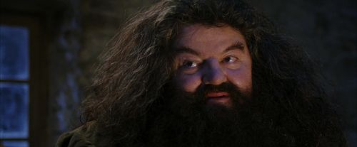 Click to view full size image
==============
PF-Potterish_01324.jpg PF-Potterish_01324.jpg