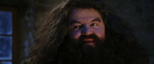 PF-Potterish_01325.jpg