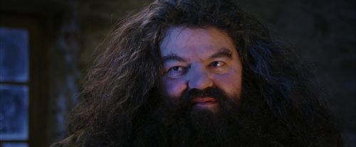 PF-Potterish_01326.jpg