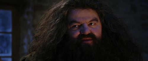 PF-Potterish_01327.jpg