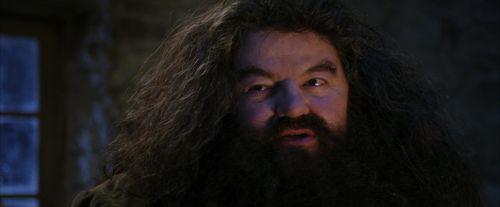 Click to view full size image
==============
PF-Potterish_01330.jpg PF-Potterish_01330.jpg