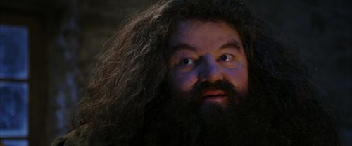 Click to view full size image
==============
PF-Potterish_01334.jpg PF-Potterish_01334.jpg