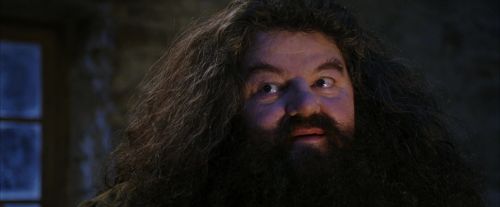 PF-Potterish_01335.jpg