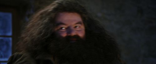 Click to view full size image
==============
PF-Potterish_01337.jpg PF-Potterish_01337.jpg