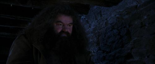 PF-Potterish_01345.jpg