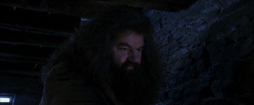 Click to view full size image
==============
PF-Potterish_01346.jpg PF-Potterish_01346.jpg