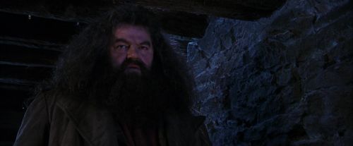 PF-Potterish_01439.jpg